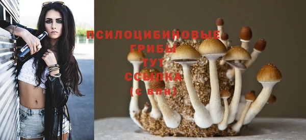 мескалин Надым