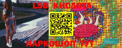 мяу мяу мука Беслан