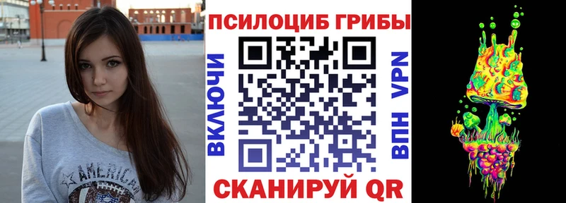 Псилоцибиновые грибы Psilocybe  Богданович 