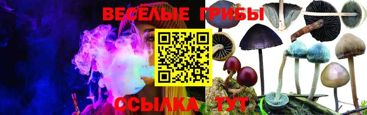 Галлюциногенные грибы MAGIC MUSHROOMS Богданович