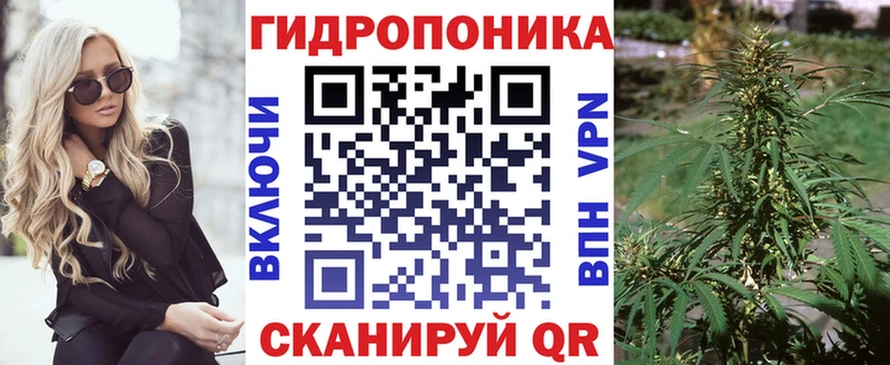 МАРИХУАНА конопля Богданович